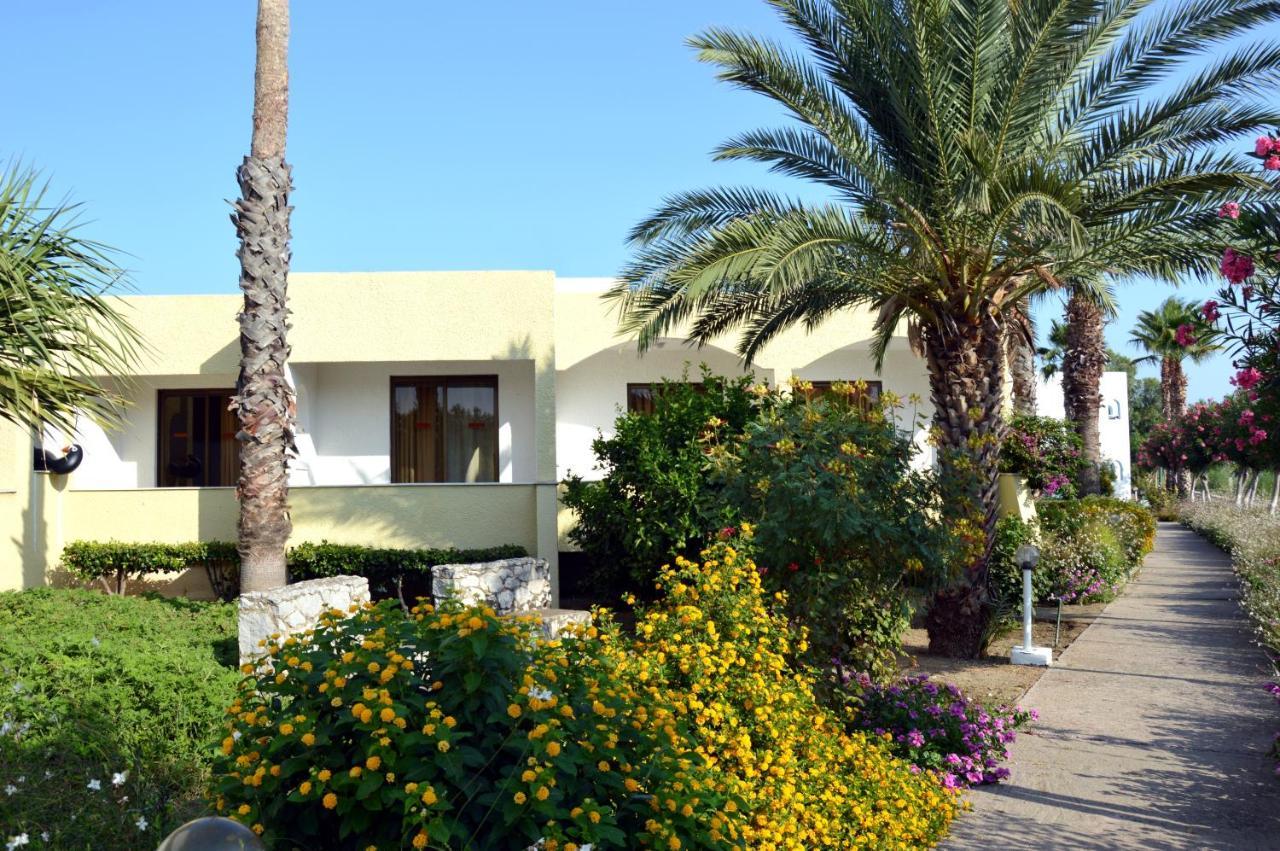 Muses Hotel Faliraki Extérieur photo