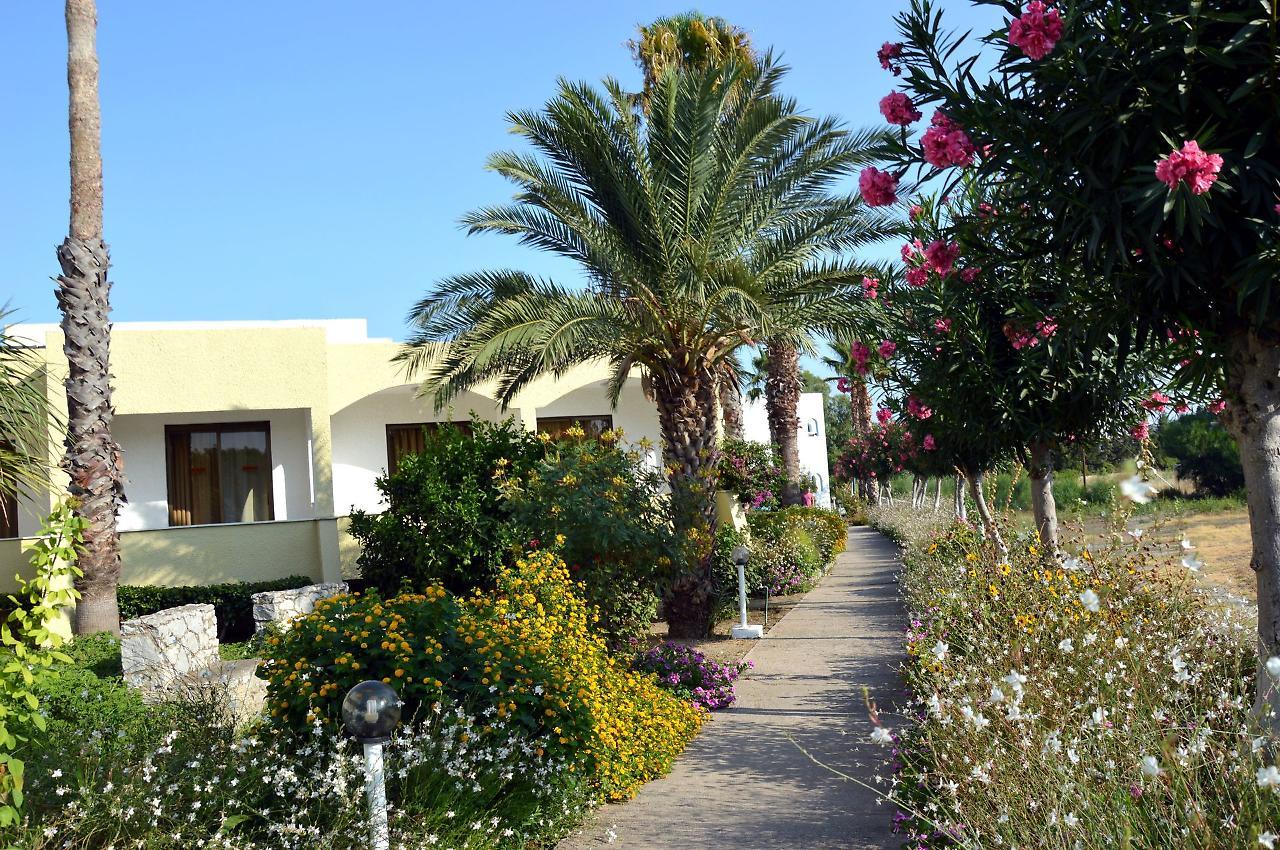 Muses Hotel Faliraki Extérieur photo
